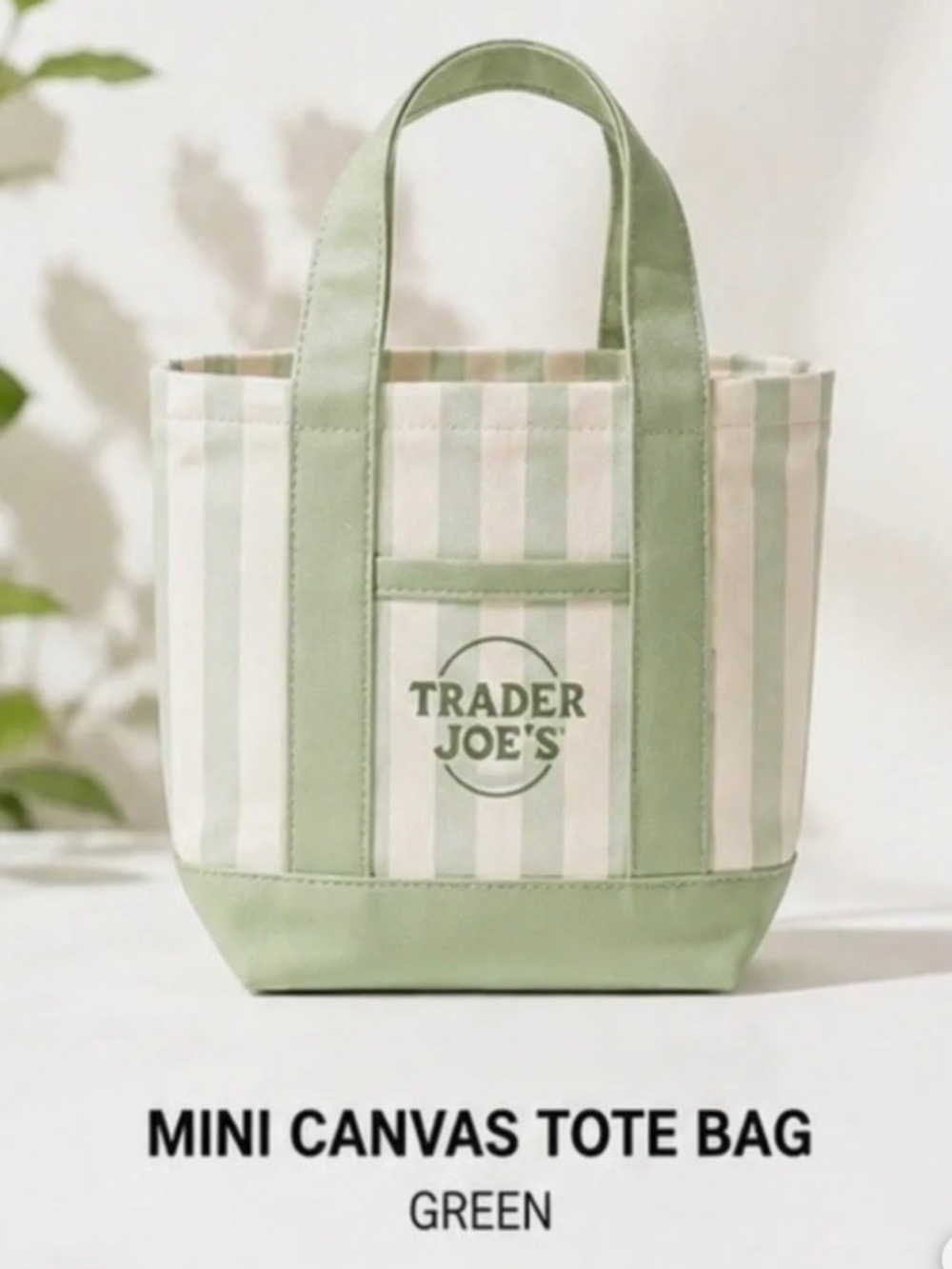 Trader Joe’s Limited Edition Striped Mini Bag ~ GREEN